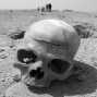 Henrik Brahe || Human skull from mumie during excavation at Gorub Harem palace. Egypt 2012 || ©